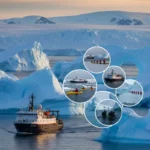 남극 탐험 크루즈
